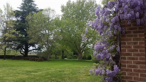 Petersons Armidale Winery & Guesthouse - Accommodation Asia 0