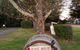 Petersons Armidale Winery & Guesthouse - thumb 1