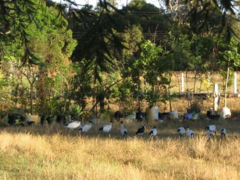 Armadale Farmstay Bed & Breakfast - Accommodation Asia 5