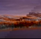 Wombat Hills Cottages - Accommodation Guide