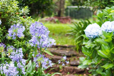 Mt Glorious Getaways - Accommodation Asia 4
