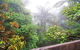Mt Glorious Getaways - thumb 7