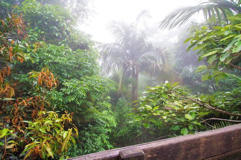 Mt Glorious Getaways - Accommodation Asia 7