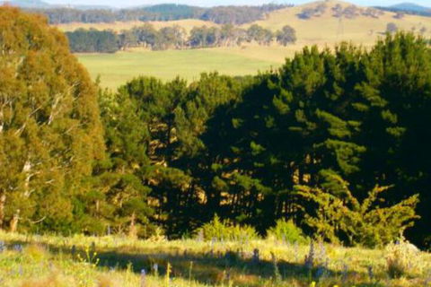 Highlands Motor Inn - Accommodation Guide 4