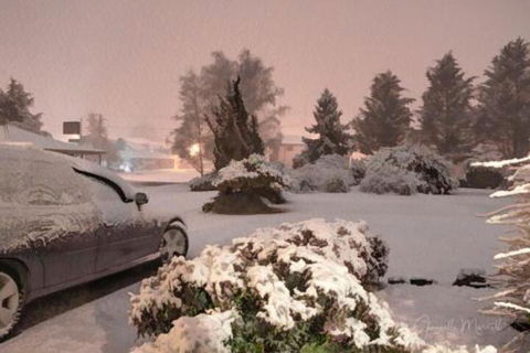 Highlands Motor Inn - Accommodation Guide 7