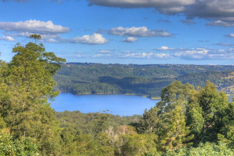 Montville Misty View Cottages - Accommodation Asia 1