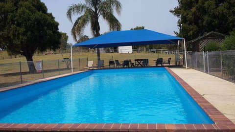 Jacaranda Motor Lodge - Accommodation Guide 6