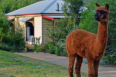 Araluen Park Cottages - Accommodation Asia 6