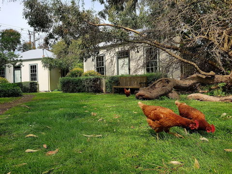 Clonmara Country House & Cottages - Accommodation Asia 1
