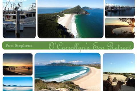 The Oasis At One Mile Beach - Accommodation Guide 5