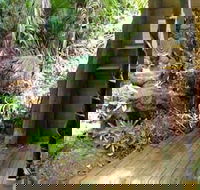 Rainforest Hideaway - Accommodation Guide
