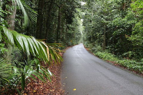 Chambers Wildlife Rainforest Lodges - Accommodation China 2