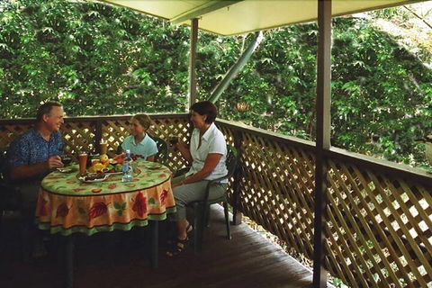 Chambers Wildlife Rainforest Lodges - Accommodation China 6