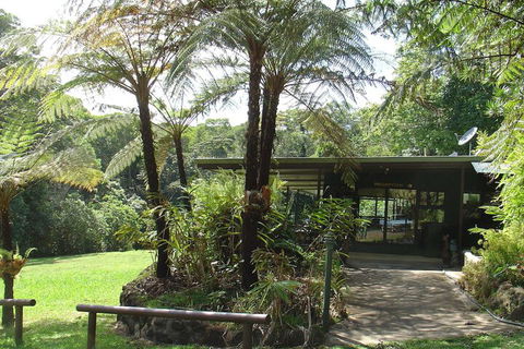 Chambers Wildlife Rainforest Lodges - Accommodation China 3