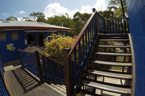 Cool Bananas Backpackers - Accommodation Asia 5