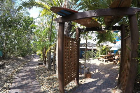 Cool Bananas Backpackers - Accommodation Asia 6