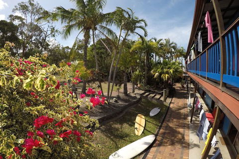 Cool Bananas Backpackers - Accommodation Asia 2