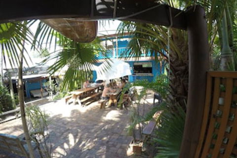 Cool Bananas Backpackers - Accommodation Asia 0