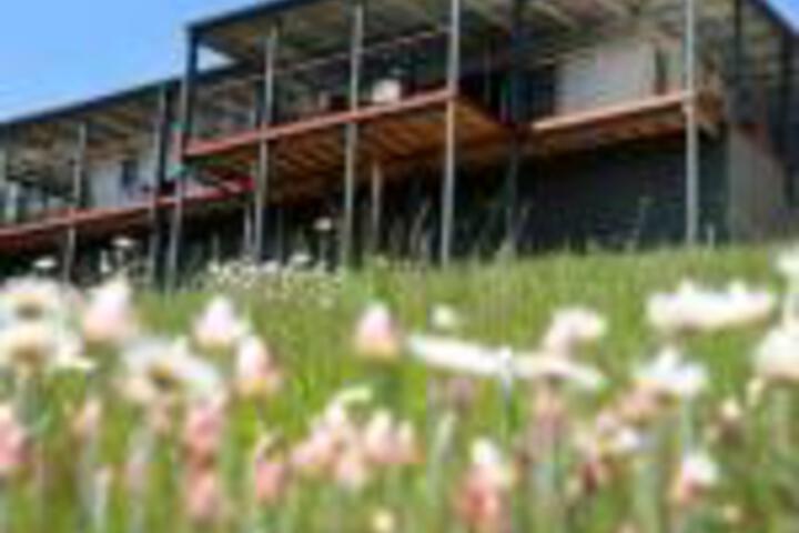 Cygnet TAS Accommodation Asia