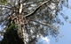 Gatehouse Cottage At Merrow Cottages - Mt Dandenong - thumb 4