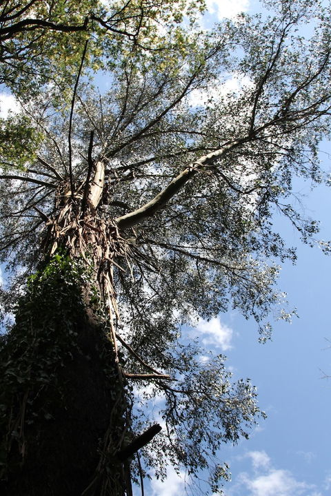 Gatehouse Cottage At Merrow Cottages - Mt Dandenong - Accommodation Asia 4