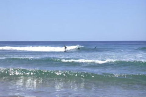 Culburra Beach House - Accommodation Guide 4