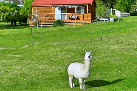 Maydena Mountain Cabins - Accommodation Guide 2
