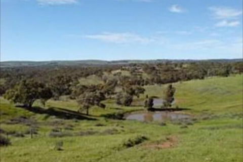 Clare View Accommodation - Accommodation Guide 6
