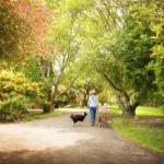 Johanna VIC Accommodation Guide