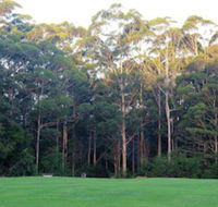 Tinglewood Cabins - Accommodation Asia