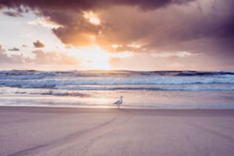 Blue Waters Motel - Accommodation Guide 0