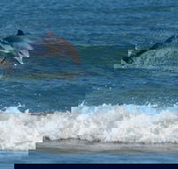 Summerhills Retreat Byron Bay - Accommodation Guide