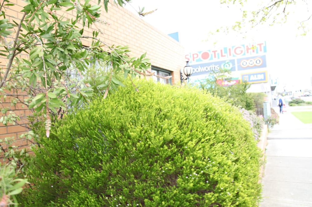 Carnegie VIC Accommodation Asia