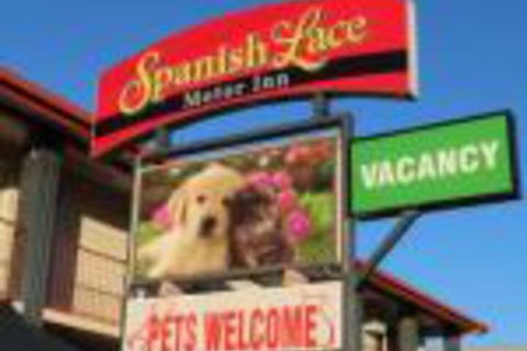Spanish Lace Motor Inn - Accommodation Asia 0