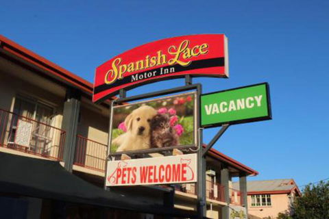 Spanish Lace Motor Inn - Accommodation Asia 3