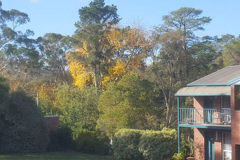 Hepburn Springs Motor Inn - Accommodation Asia 5