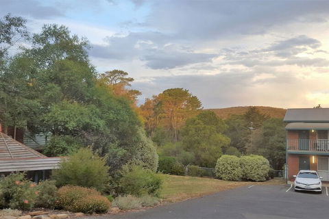 Hepburn Springs Motor Inn - Accommodation Asia 4