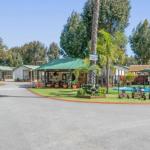 Mandurah Caravan & Tourist Park - Accommodation Asia 1