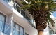 The Palms Apartments - thumb 0