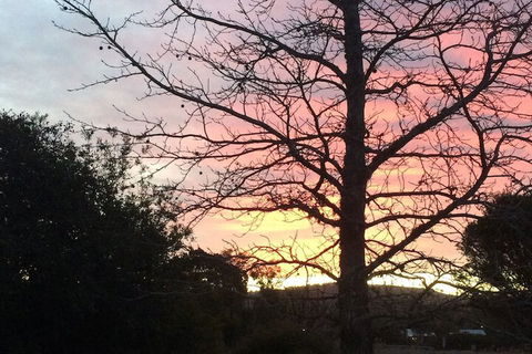 Idlewilde Town & Country Motor Inn - Accommodation Guide 1