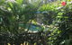 Tropical Palms - thumb 2