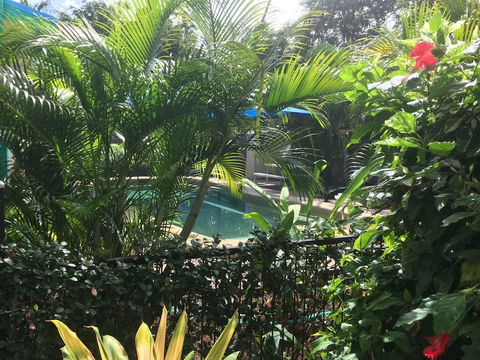 Tropical Palms - Accommodation Asia 2