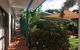 Tropical Palms - thumb 0