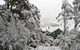 Alpenhorn - thumb 0