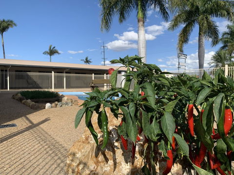 Silo Motor Inn - Accommodation Guide 6