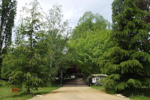 Ophir Gold Bed & Breakfast - Accommodation Asia 0
