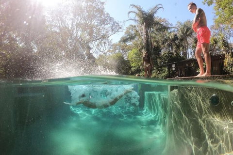 Samurai Beach Bungalows Port Stephens YHA - Accommodation Asia 3