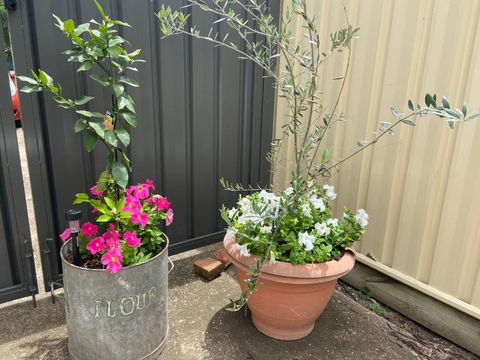Bendigo Backpackers - Accommodation Asia 2