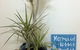 Al Mare Beachfront Retreat - thumb 2