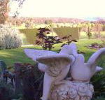 Springbank Bed  Breakfast - Accommodation Guide